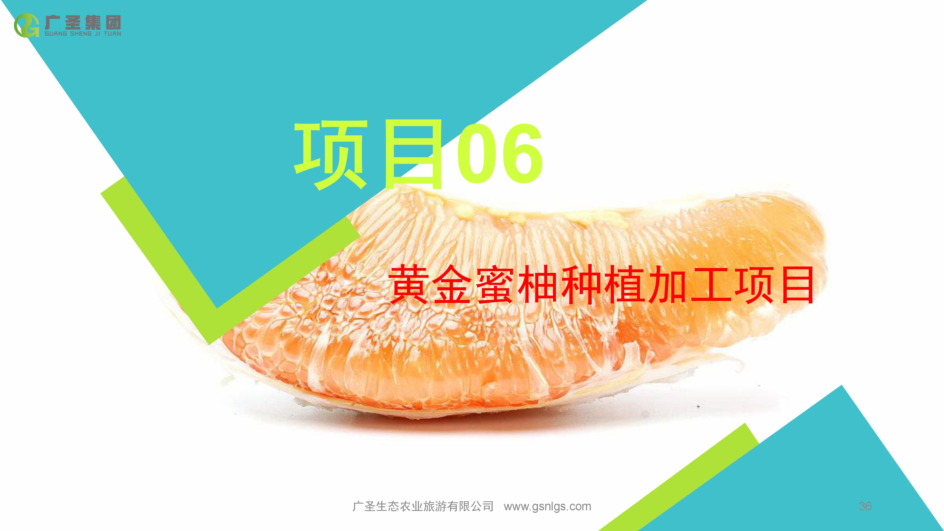 广圣农旅-黄金蜜柚种植项